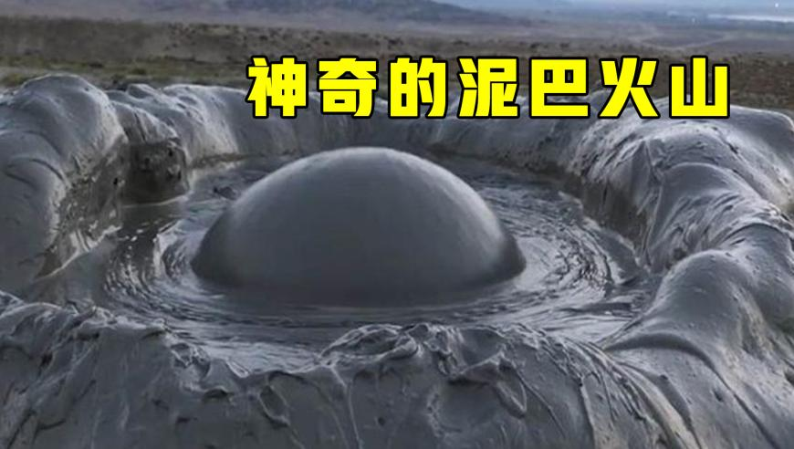 今晚澳门天天彩资料,马斯克真的敢审查五角大楼吗,最新热门解答落实_静态版V1.94