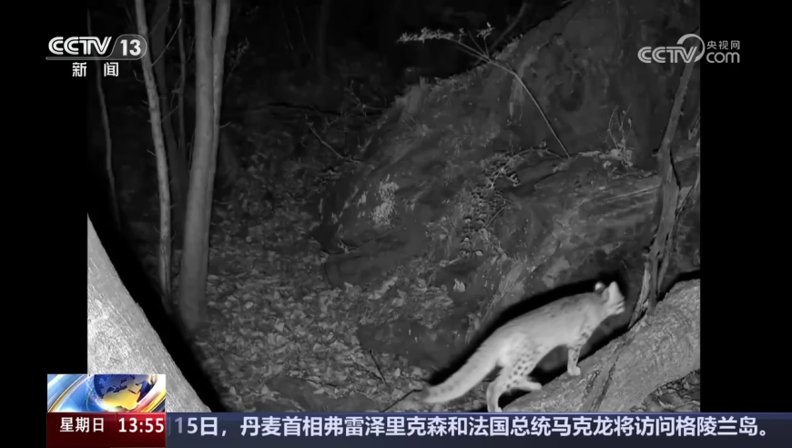 中国在海上发现亿吨级油田,澳门内部传真六年老玩家,广泛的解释落实方法分析_纪念版V14.96